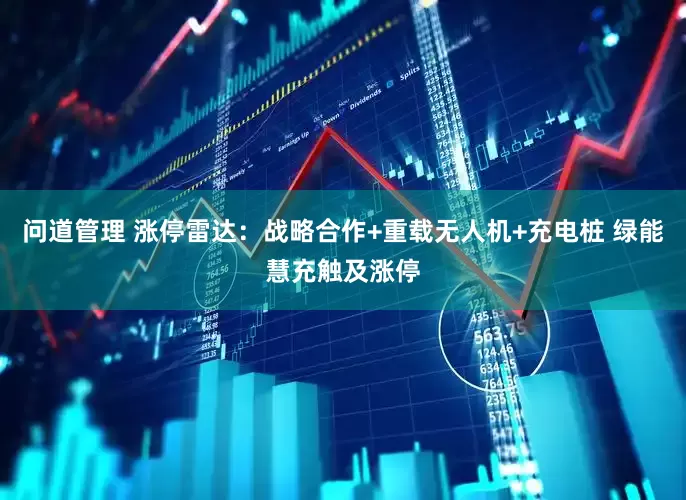 问道管理 涨停雷达：战略合作+重载无人机+充电桩 绿能慧充触及涨停