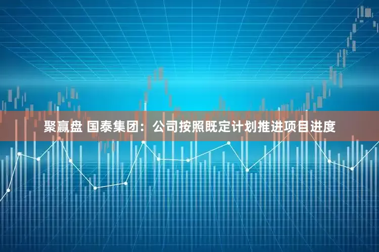 聚赢盘 国泰集团：公司按照既定计划推进项目进度